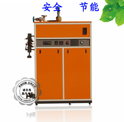 電蒸汽發生器