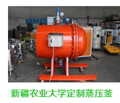 新疆農業大學定製蒸壓釜