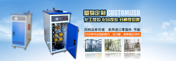 54-72kw化工反應小型蒸汽發生器