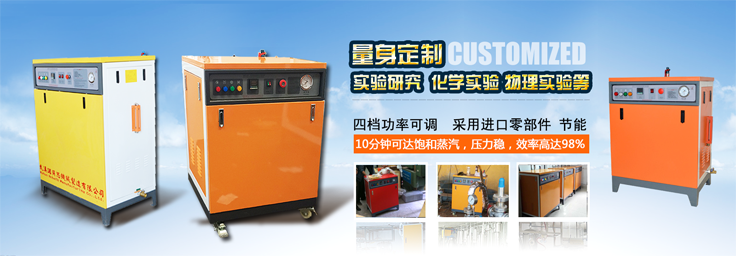 16-32kg/h實驗研究小型蒸汽發生器