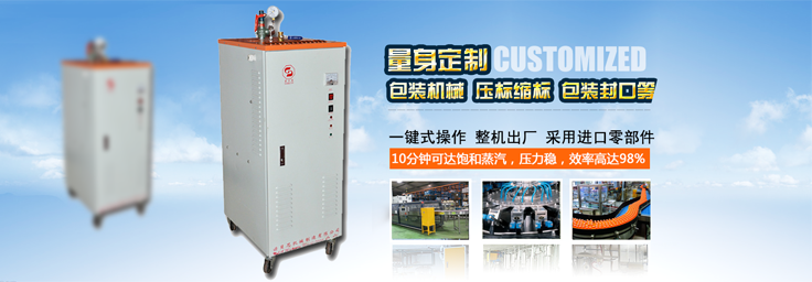 3-6-9kw包裝機械小型蒸汽發生器