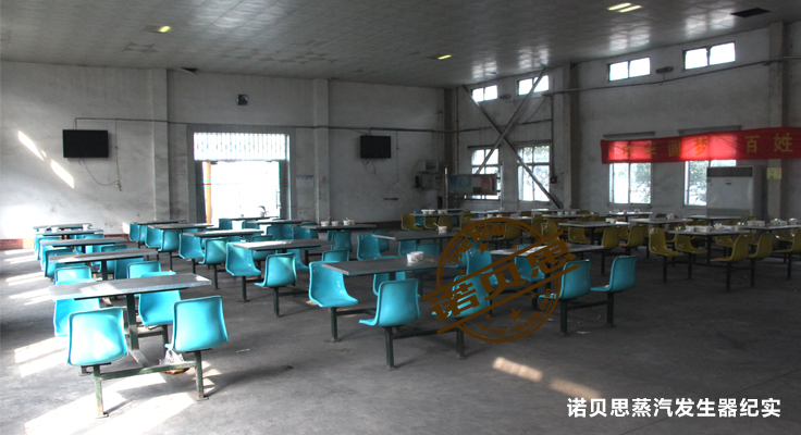 蒸汽發生器案例