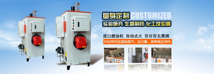 燃油蒸汽發生器