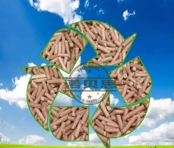 生物質蒸汽發生器2.png
