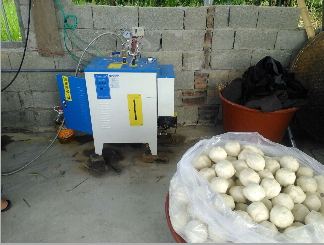 免檢生物質蒸汽發生器用於食品加工
