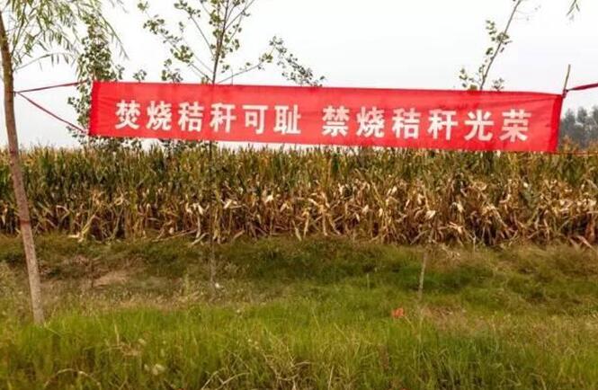 燒秸稈生物質蒸汽發生器