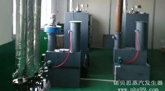 氣量12kg蒸汽發生器