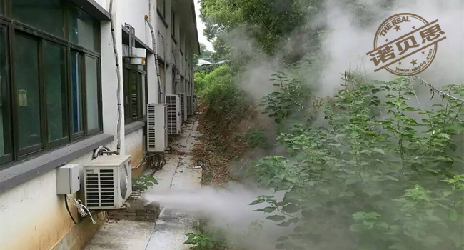 鐵皮石斛加溫消毒用電蒸汽發生器
