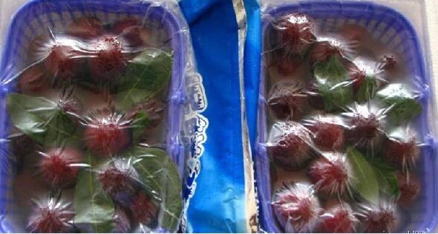 高壓32kw蒸汽發生器廠家