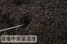 製茶專用91免费版下载安装
