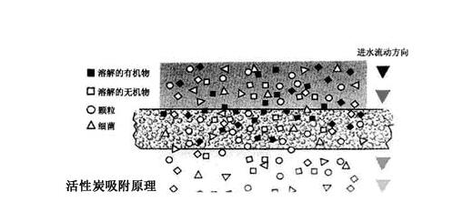 活性炭消毒91免费版下载安装