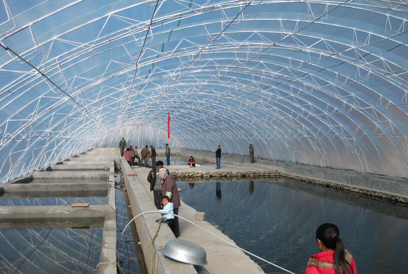 水產養殖生物質蒸汽發生器