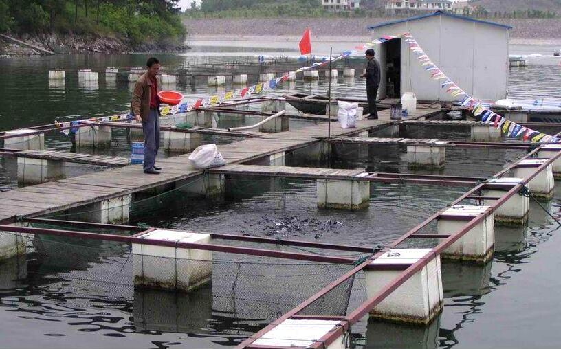 生物質蒸汽發生器
