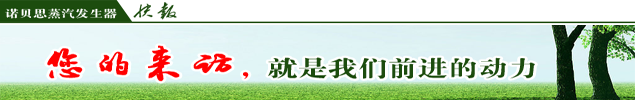 棉紡廠蒸汽發生器