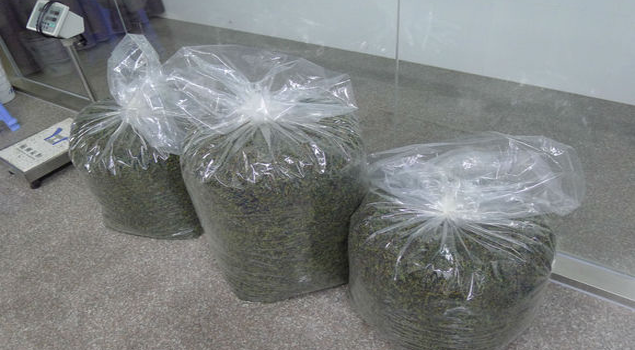 茶葉殺青蒸汽發生器