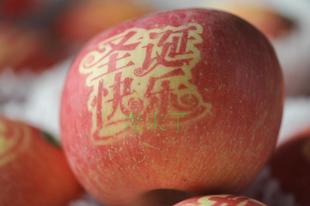 91免费视频网站元旦