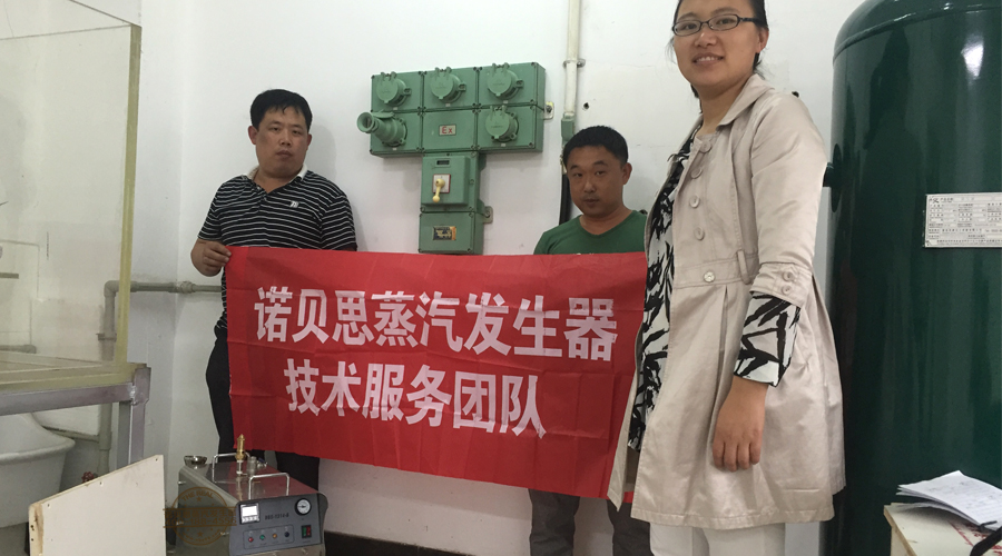 91免费视频网站蒸汽發生器