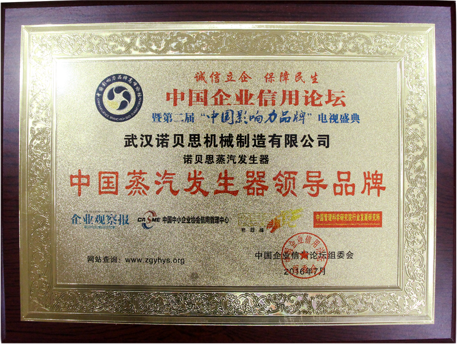 中國蒸汽發生器領導品牌91免费视频网站