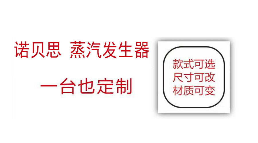 91免费视频网站蒸汽發生器