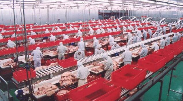 肉製品車間消毒