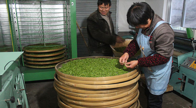 茶葉加工蒸汽發生器