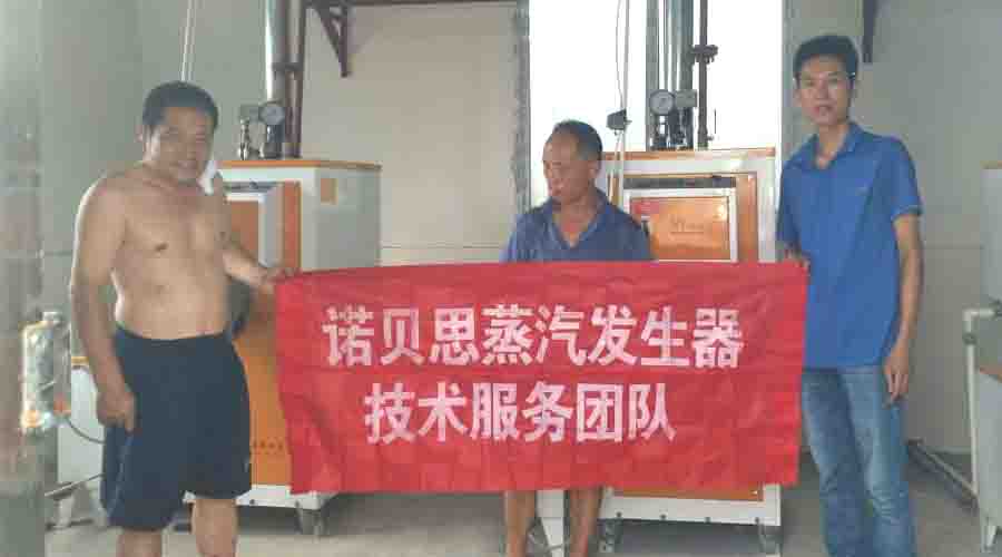 屠宰專用蒸汽發生器