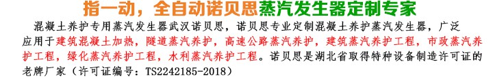 36-48kw混凝土養護小型蒸汽發生器