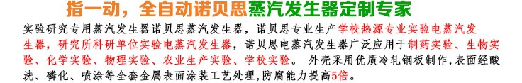 16-32kg/h實驗研究小型蒸汽發生器簡介