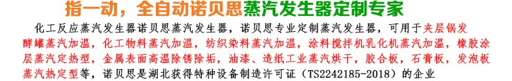 54-72kw化工反應小型蒸汽發生器介紹