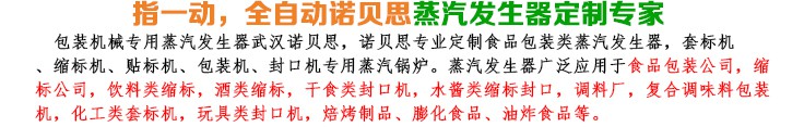 3-6-9kw包裝機械小型蒸汽發生器簡介