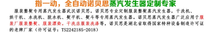 3-6-9kw服裝整熨小型蒸汽發生器簡介