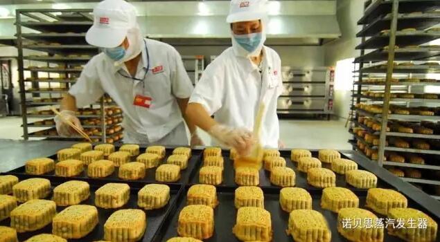 食品加工蒸汽發生器