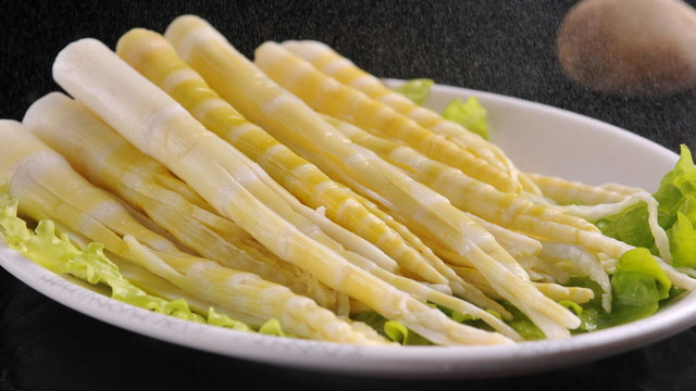 91免费看片入口