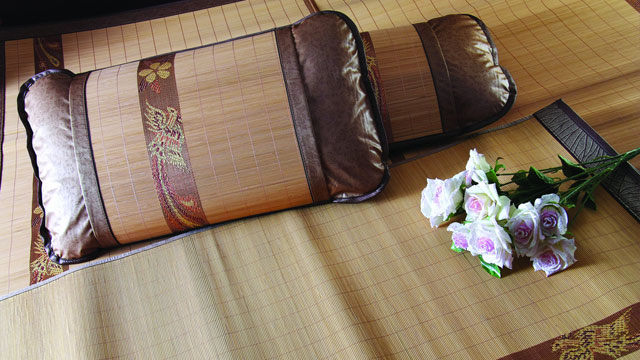 小型電蒸汽發生器