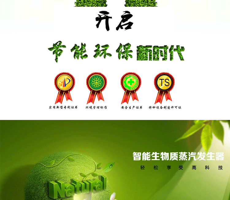 生物質蒸汽發生器