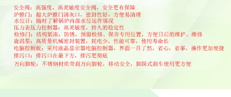 生物質蒸汽發生器