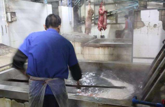 屠宰場用蒸汽發生器