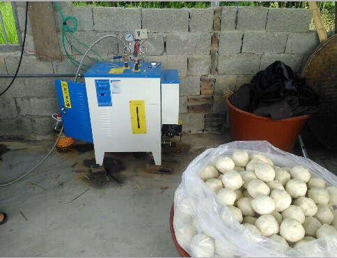 蒸包子燃煤鍋爐改造電蒸汽發生器