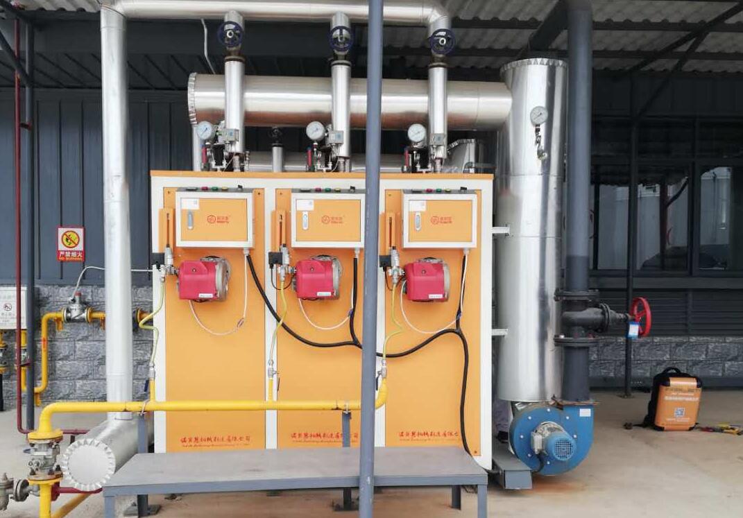 全自動控製的電蒸汽發生器.jpg