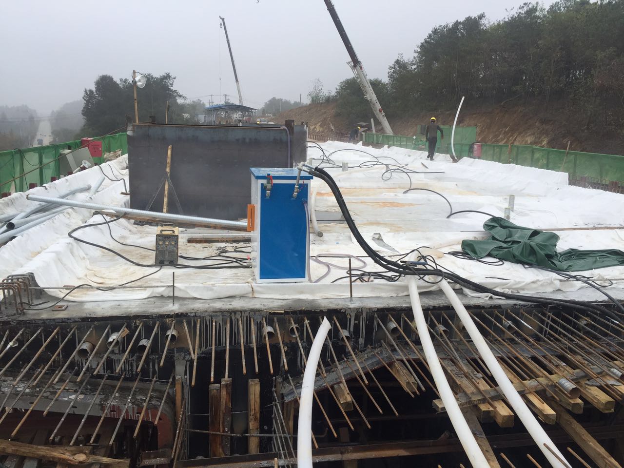 環境溫度不利時使用電蒸汽發生器