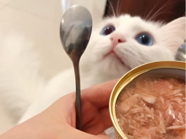 食品滅菌蒸汽發生器加工寵物罐頭.jpg