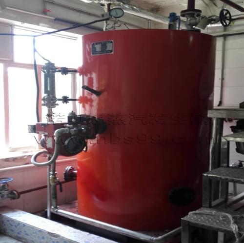 湖北宜昌中醫院0.3噸燃氣鍋爐案例