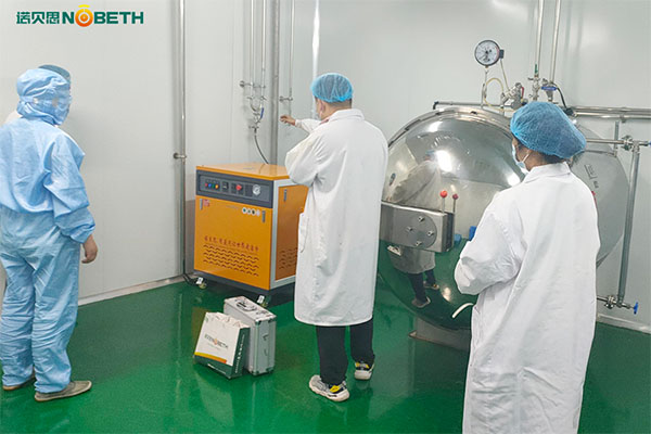 高溫高壓蒸汽機推薦，食品蒸汽滅菌用